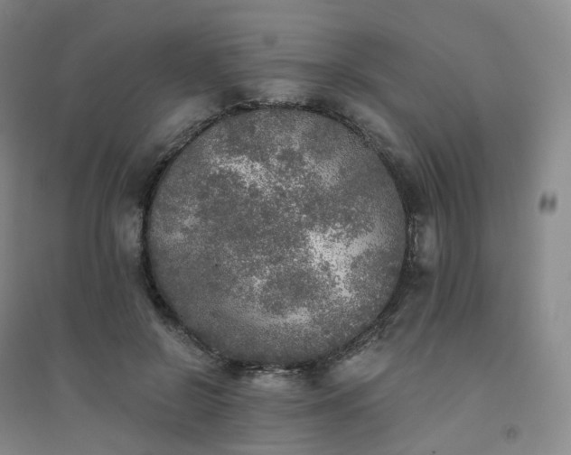 X0000094460550200711151452