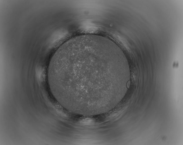 X0000094460551200711151452
