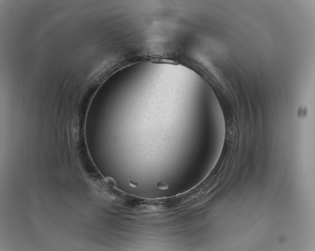 X0000094460552200711151452