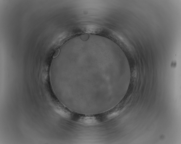 X0000094460554200711151452
