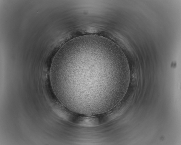 X0000094460555200711151452
