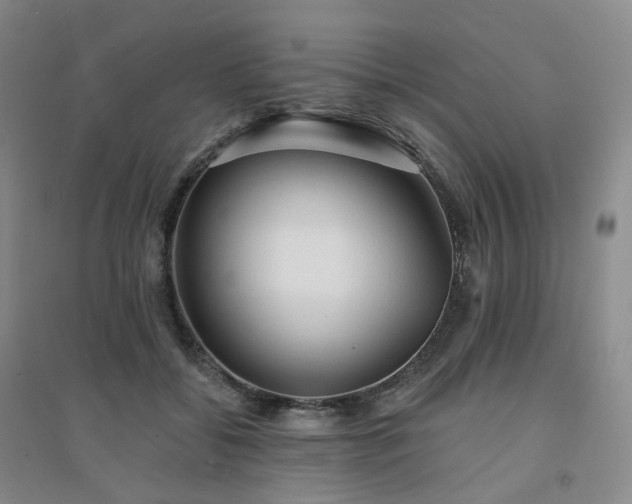X0000094460556200711151452