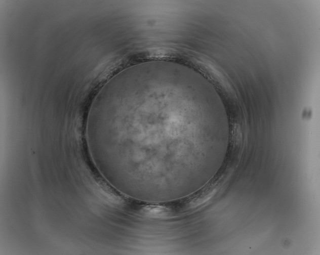X0000094460557200711151452