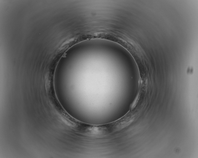 X0000094460558200711151452