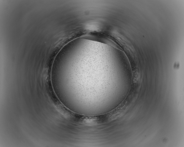 X0000094460560200711151452