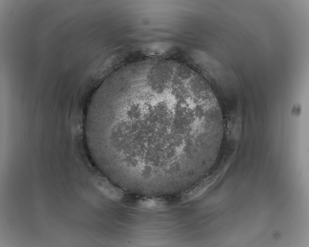 X0000094460561200711151452