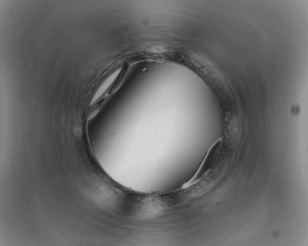 X0000094460562200711151452