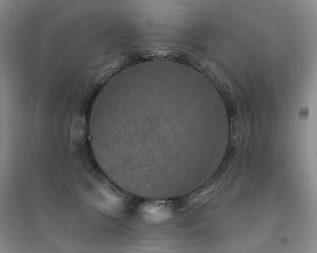 X0000094460563200711151452