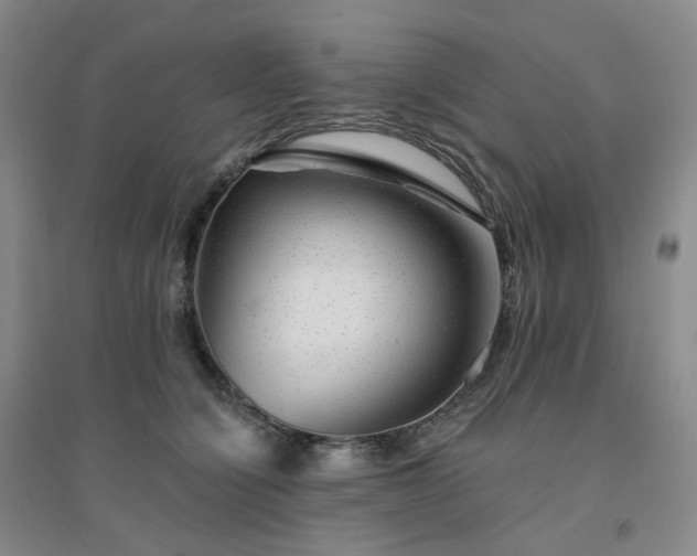 X0000094460564200711151452