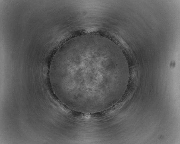 X0000094460565200711151452