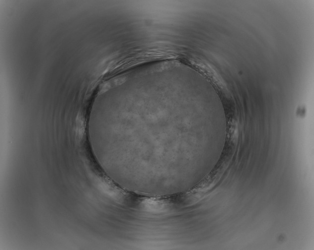 X0000094460568200711151452