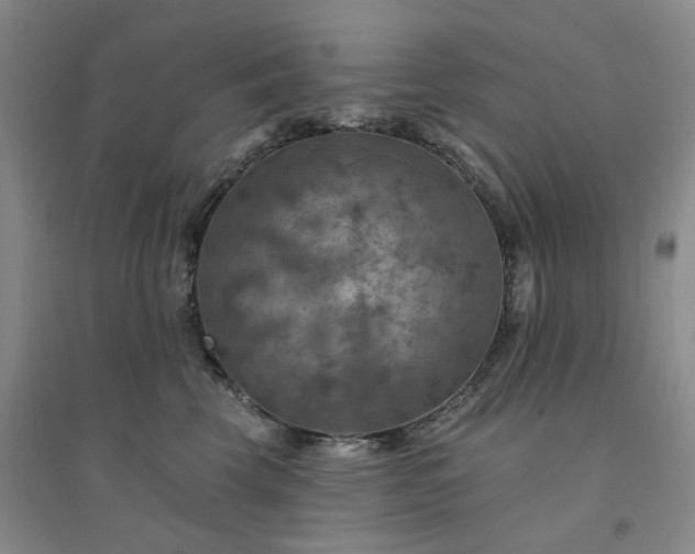 X0000094460569200711151452