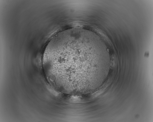 X0000094460573200711151452