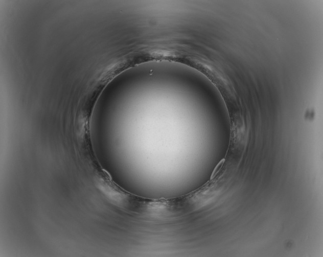 X0000094460574200711151452