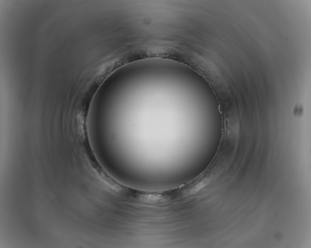 X0000094460575200711151452