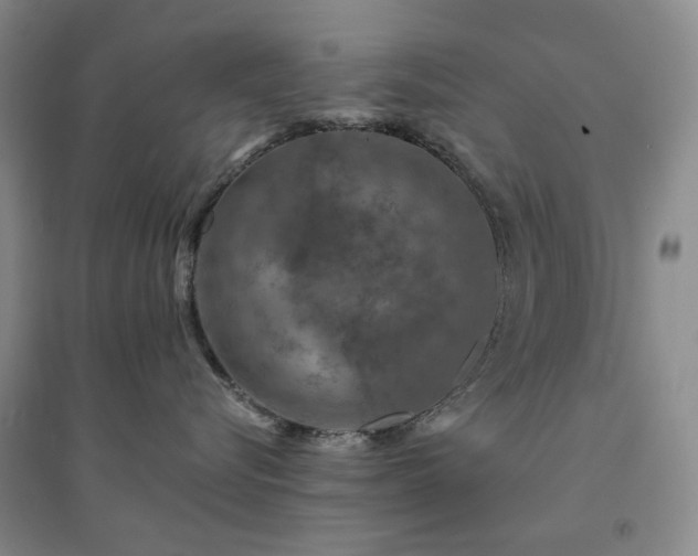 X0000094460576200711151452