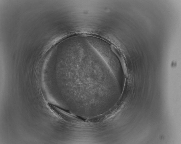 X0000094460577200711151452