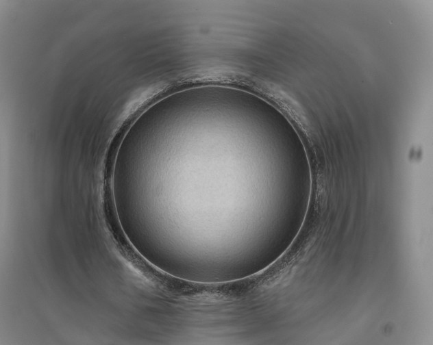 X0000094460578200711151452
