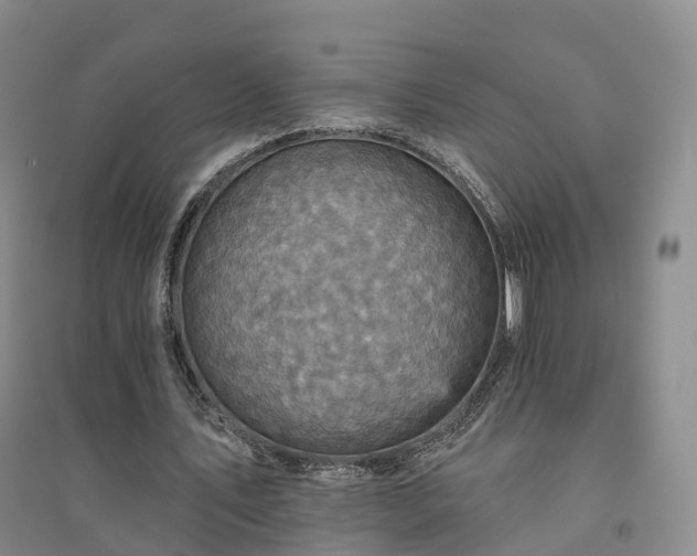 X0000094460579200711151452