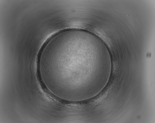 X0000094460580200711151452