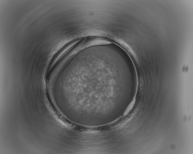 X0000094460581200711151452