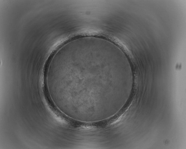 X0000094460582200711151452