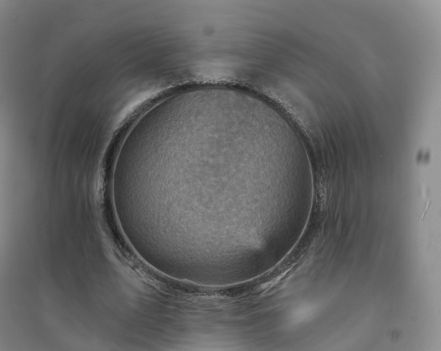X0000094460583200711151452