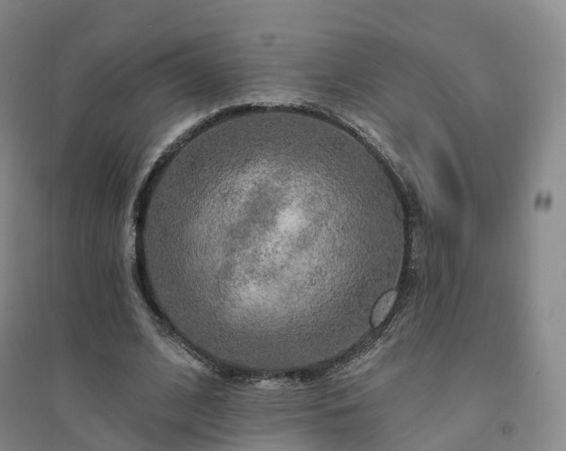 X0000094460584200711151452