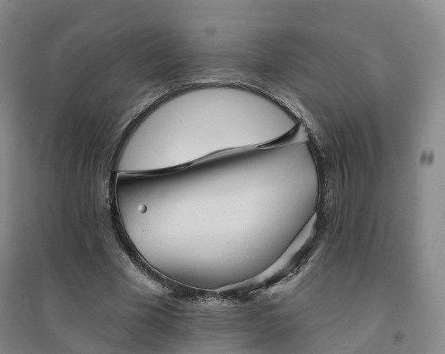 X0000094460585200711151452