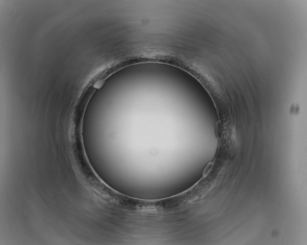 X0000094460587200711151452