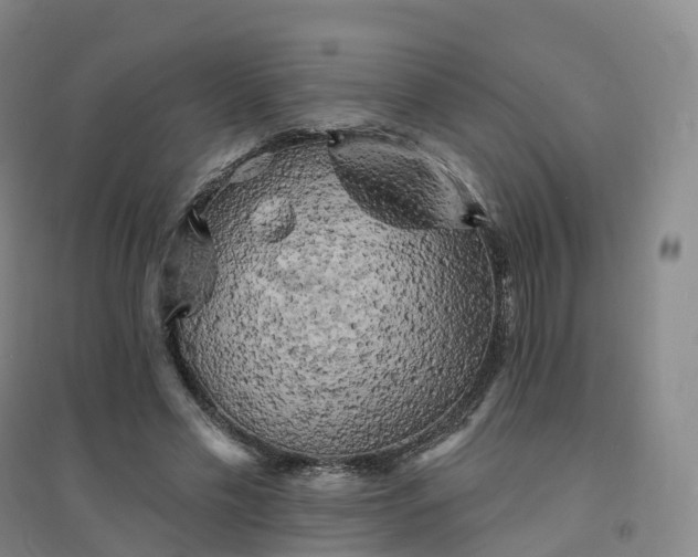X0000094460589200711151452
