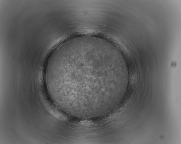 X0000094460591200711151452
