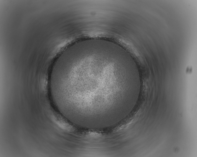 X0000094460592200711151452