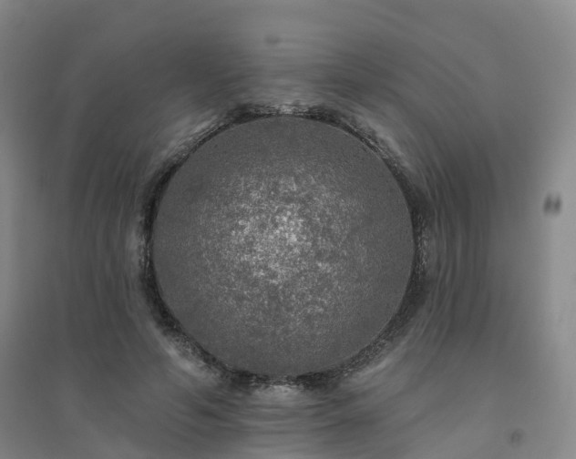 X0000094460594200711151452