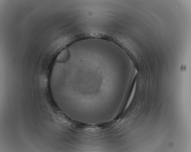 X0000094460595200711151452