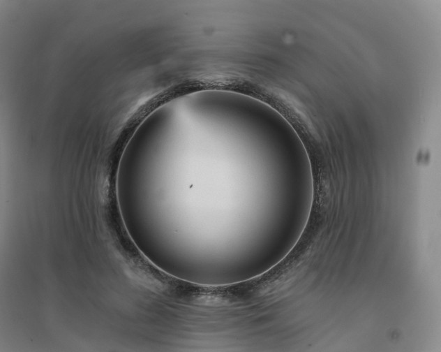 X0000094460596200711151452