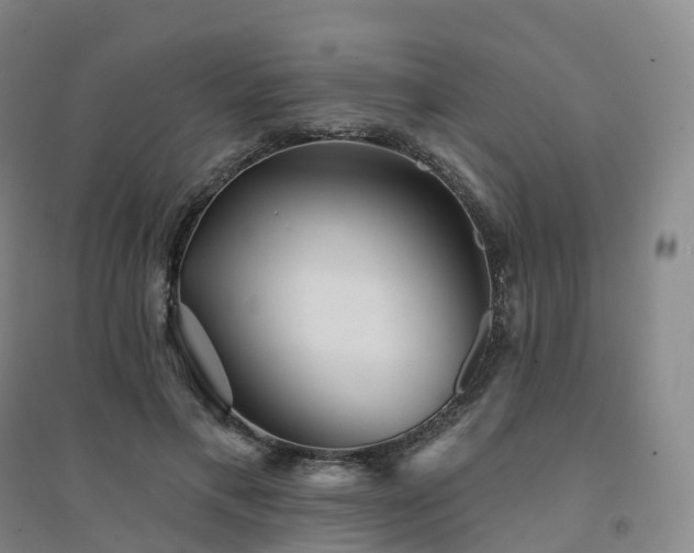 X0000094460597200711151452