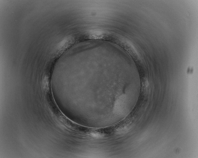 X0000094460598200711151452