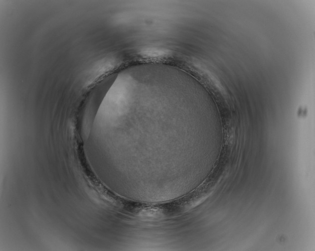 X0000094460599200711151452
