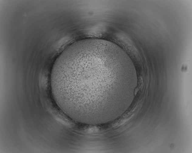 X0000094460600200711151452