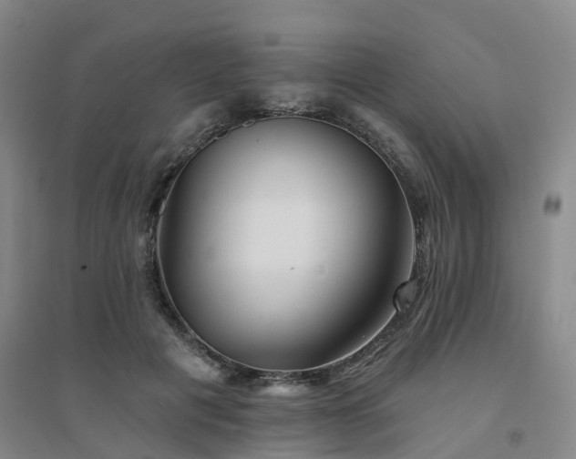 X0000094460601200711151451