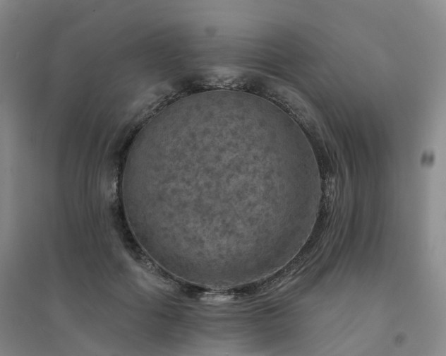 X0000094460602200711151451