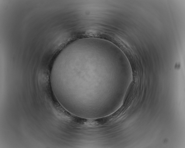 X0000094460603200711151451