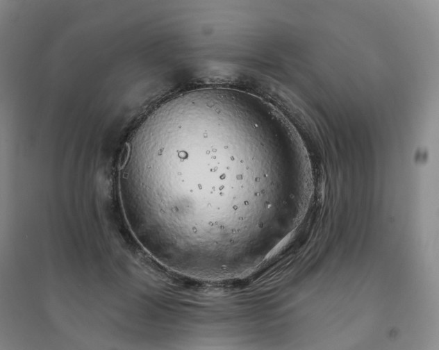 X0000094460604200711151451