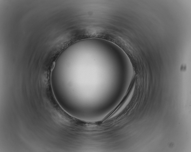 X0000094460605200711151451