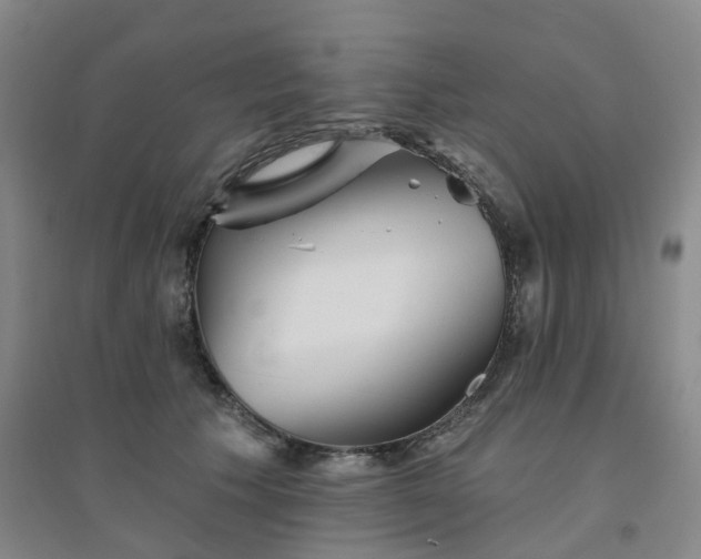 X0000094460609200711151451