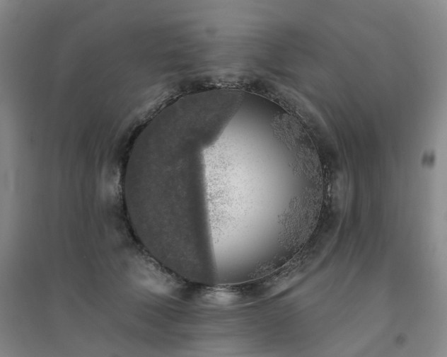 X0000094460610200711151451