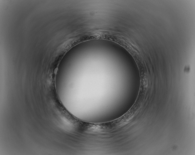 X0000094460611200711151451