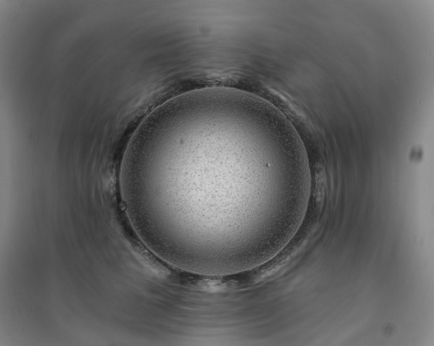 X0000094460613200711151451