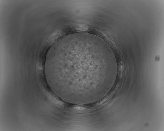 X0000094460614200711151451